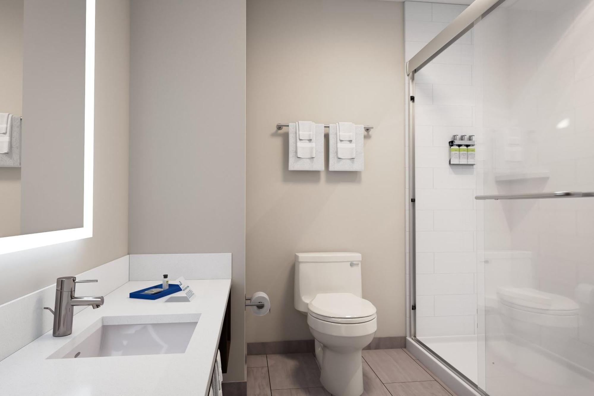 Deluxe King Room Disability Access Roll Shower or Non-Smoking